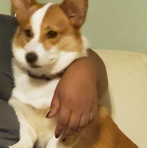 Meet your Posher, Monica - Picture 5 of 6